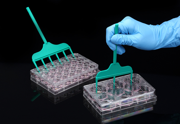 SPLScar™ Block and Scratcher, Individual, 2 block well, Sterile to SAL 10-6 201906 和更多型號 - 商品圖 5